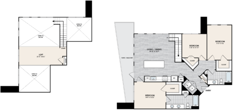 C2D + Loft Floorplan